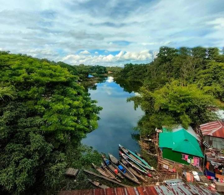 চিরসবুজ বাংলাদেশ: প্রকৃতির এক অপূর্ব আখ্যান