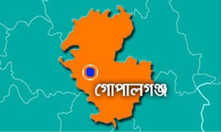 মুকসুদপুরে সড়ক দুর্ঘটনায় ভ্যান চালক নিহত