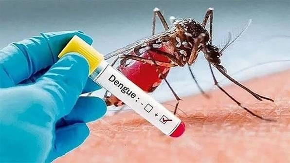 ডেঙ্গুতে আরও ৬ মৃত্যু, হাসপাতালে ভর্তি ১৯৪৮