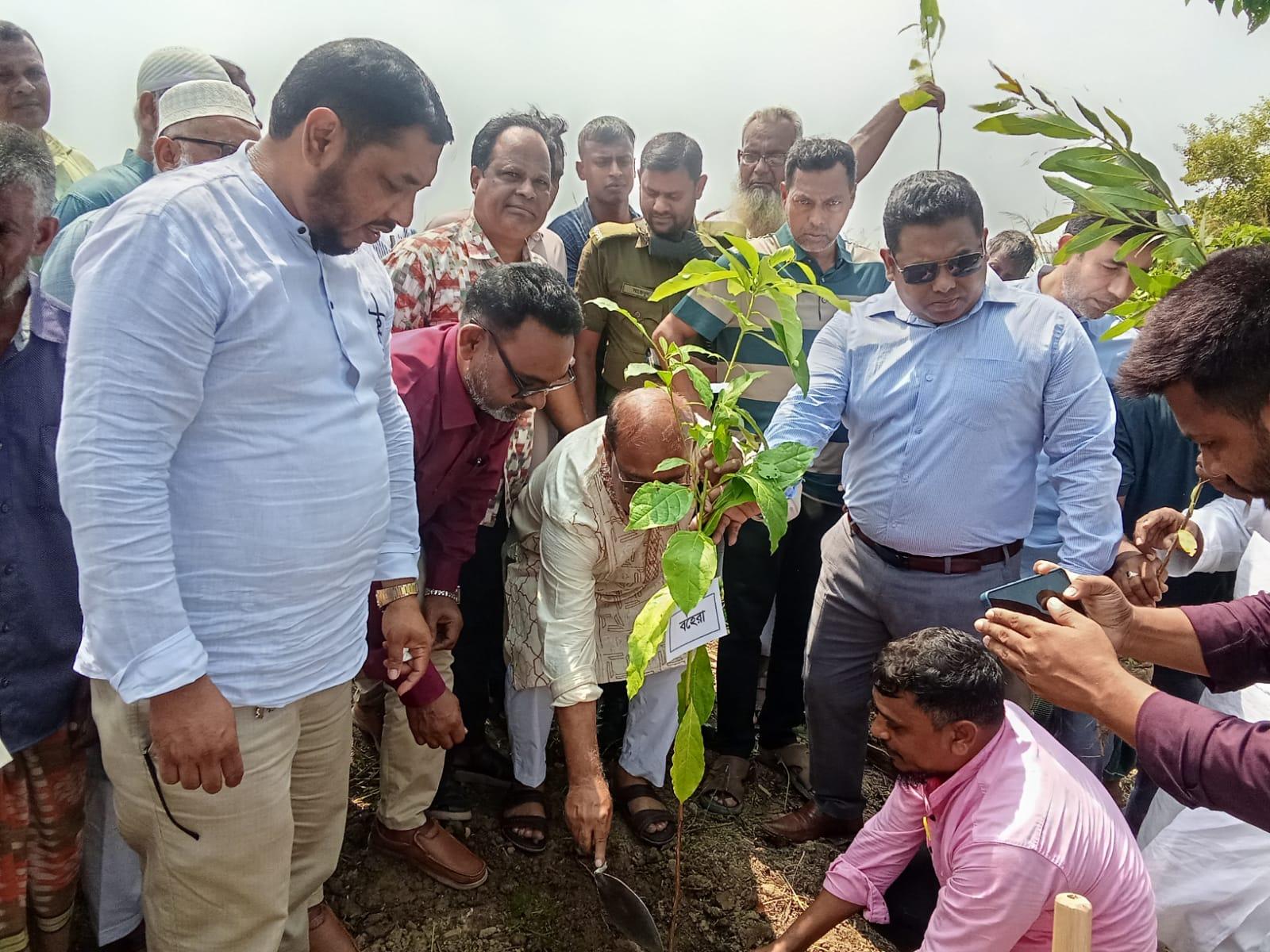 আত্রাইয়ে বৃক্ষরোপন কর্মসূচির উদ্বোধন