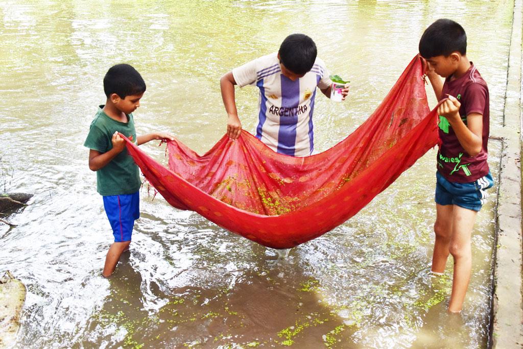 সংযুক্ত ছবি